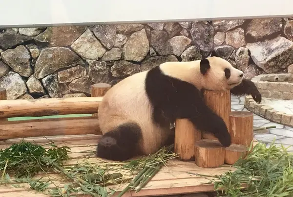 アドベンチャーワールド