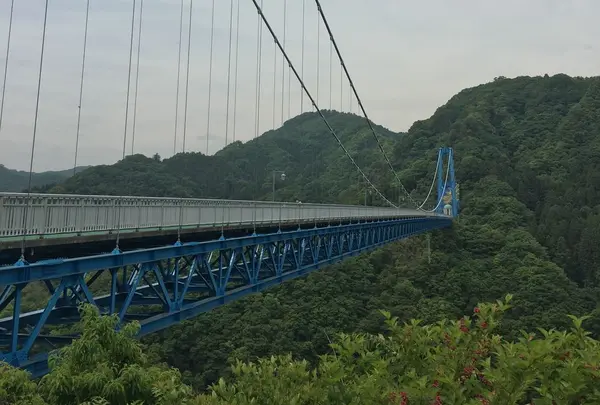 竜神大吊橋の写真・動画_image_326274