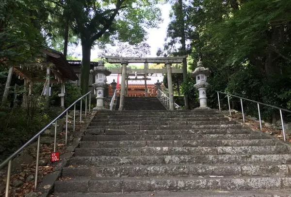 掛川神社の写真・動画_image_331848