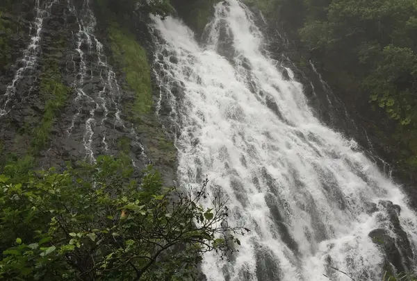 オシンコシンの滝の写真・動画_image_412870
