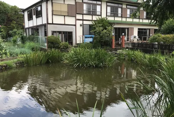 菖蒲池