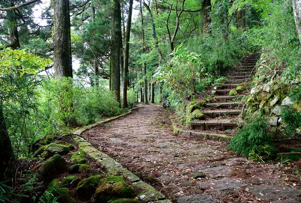 白龍神社