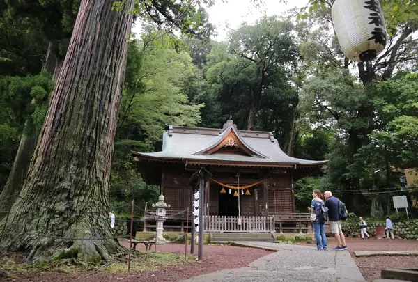 日枝神社の写真・動画_image_431153