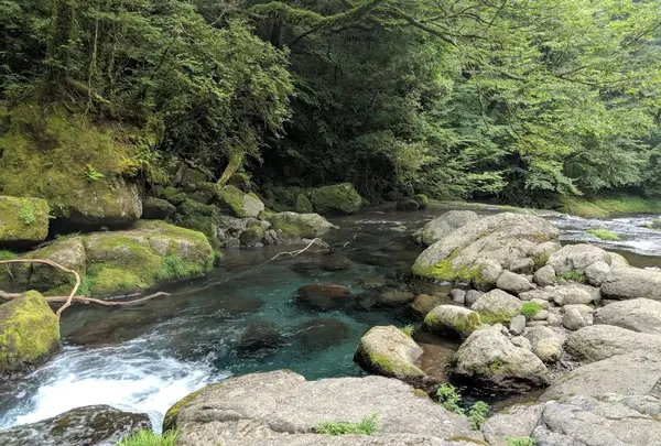 菊池渓谷