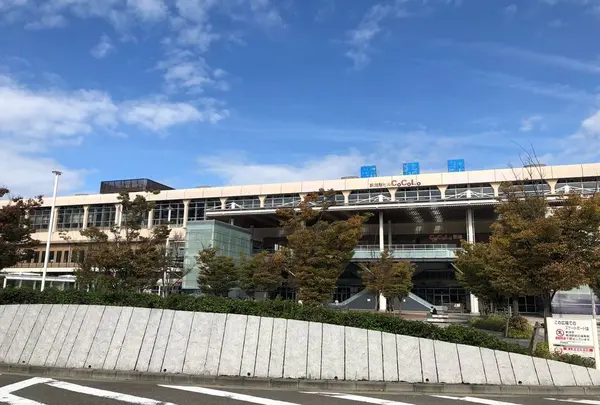 新潟駅の写真・動画_image_442798