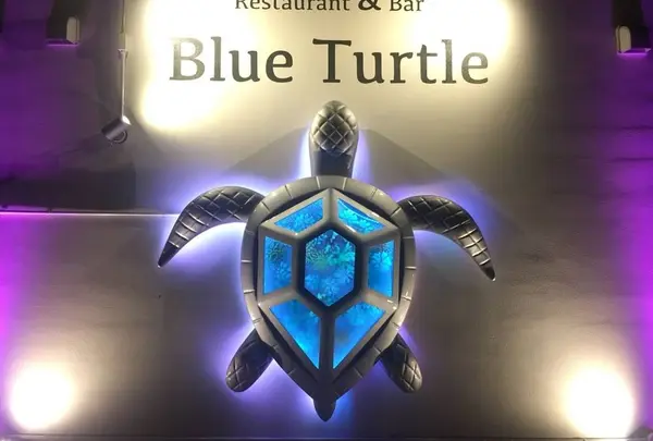 ブルータートル[Blue Turtle]