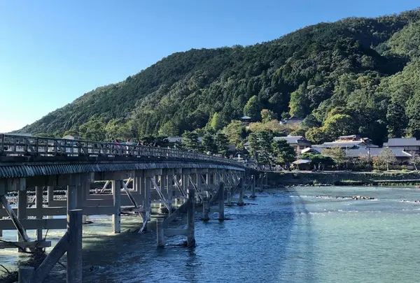 渡月橋の写真・動画_image_449479