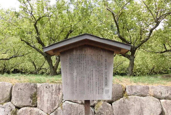 亀山城の写真・動画_image_452762