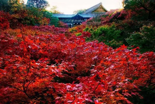 東福寺