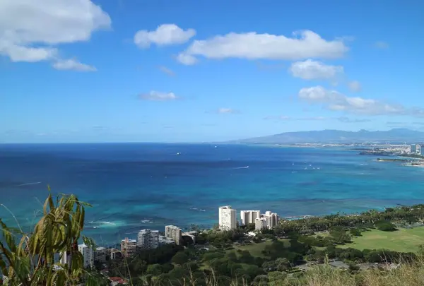 Diamond head（ダイヤモンド・ヘッド）の写真・動画_image_485869