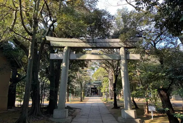 赤坂氷川神社の写真・動画_image_486224