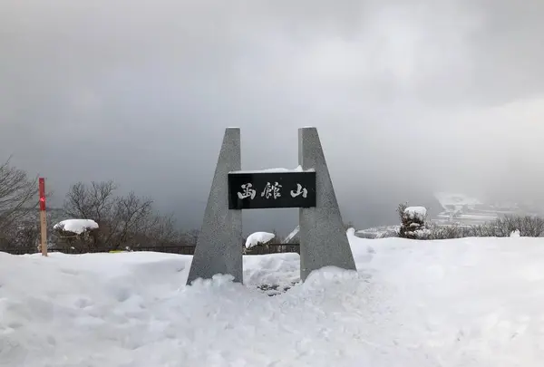 函館山の写真・動画_image_489225