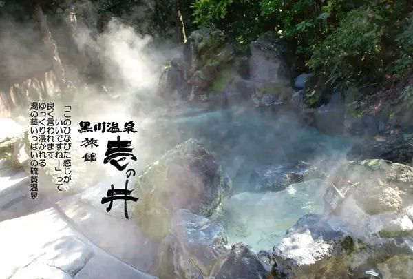 黒川温泉 旅館 壱の井 湯の華の浮く硫黄温泉