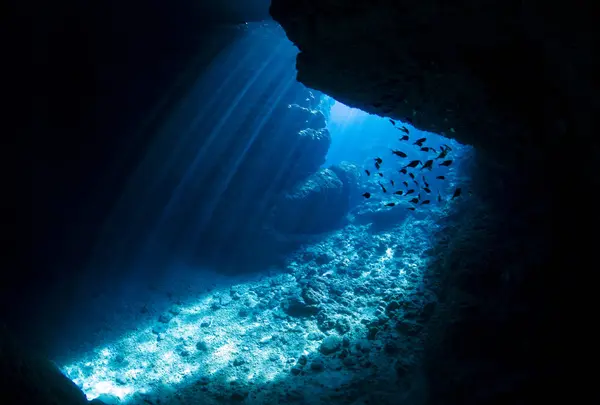 青の洞窟の写真・動画_image_521920