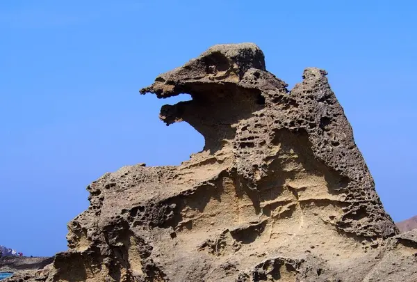 ゴジラ岩の写真・動画_image_537180
