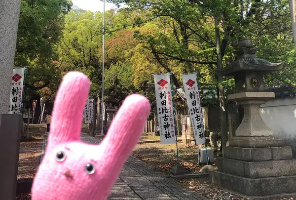 刺田比古神社の写真・動画_image_553241