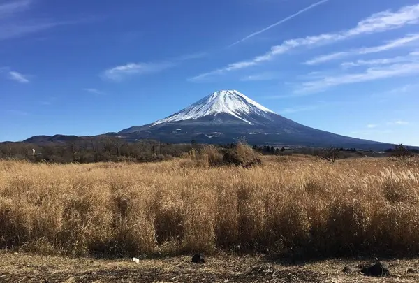 富士山の写真・動画_image_566328