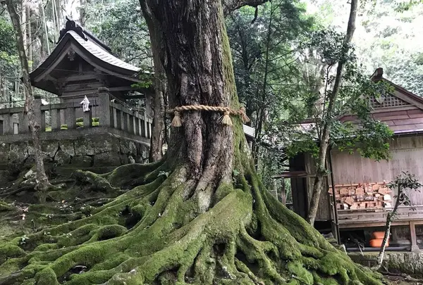 赤猪岩神社の写真・動画_image_570586