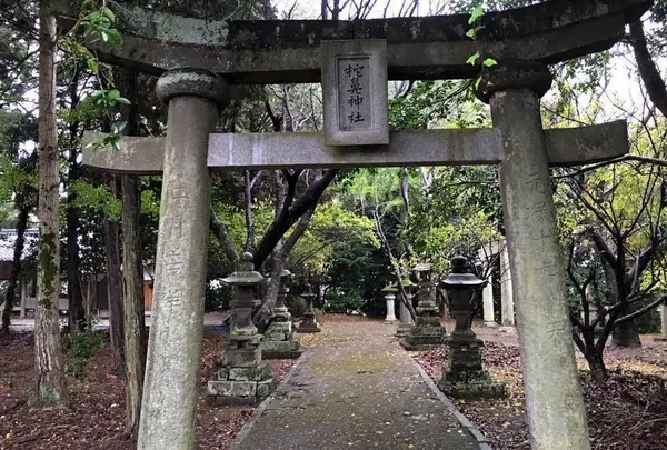 柁鼻神社の写真・動画_image_571180