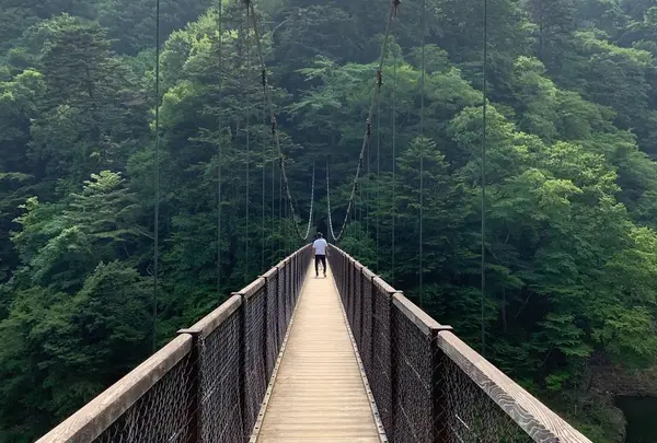 回顧の吊橋