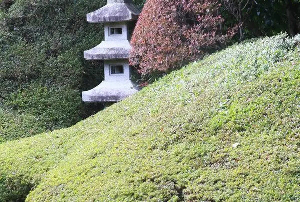 一華院