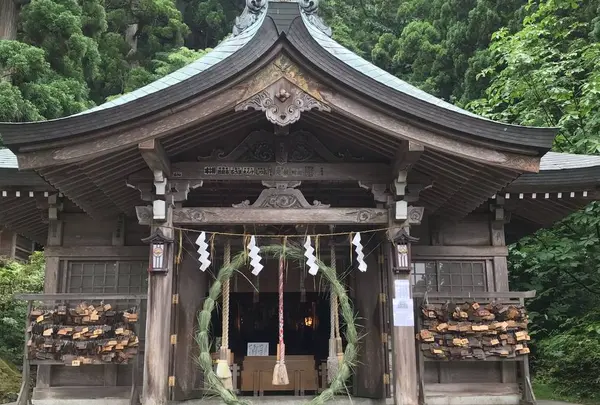 真山神社の写真・動画_image_617796