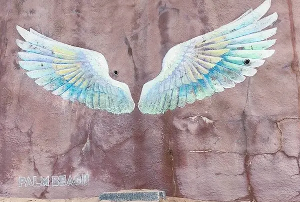 パームビーチ 天使の羽