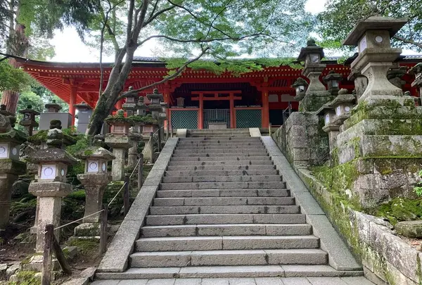榎本神社の写真・動画_image_643492