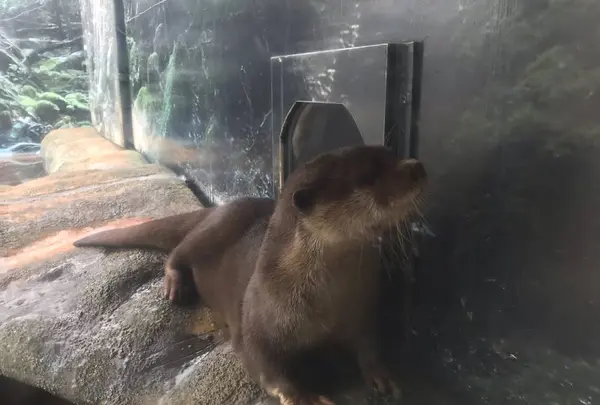 京急油壺マリンパーク