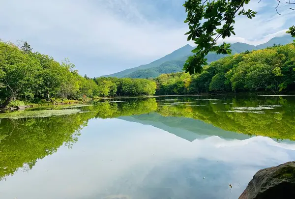 知床五湖の写真・動画_image_656509