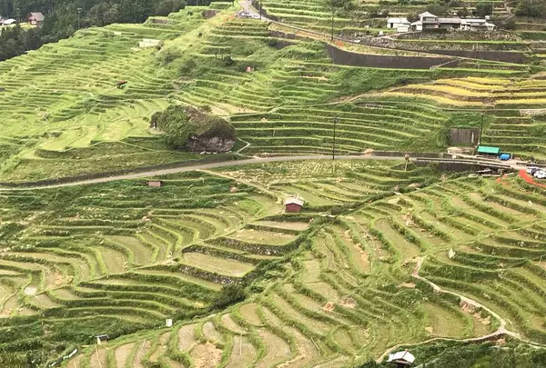 丸山千枚田