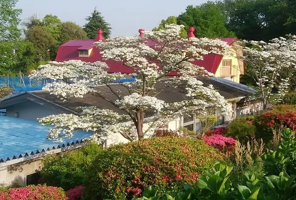 横浜市児童遊園地へ行くなら おすすめの過ごし方や周辺情報をチェック Holiday ホリデー