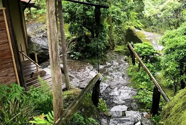 白雲洞茶苑