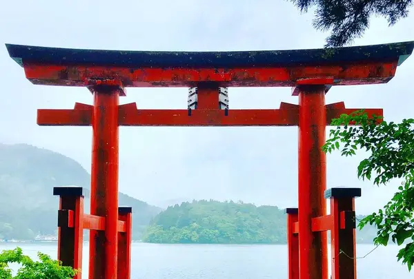 箱根神社の写真・動画_image_699934