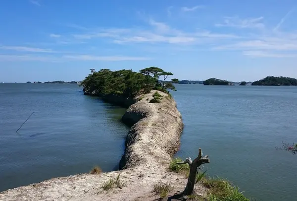 松島 馬の背