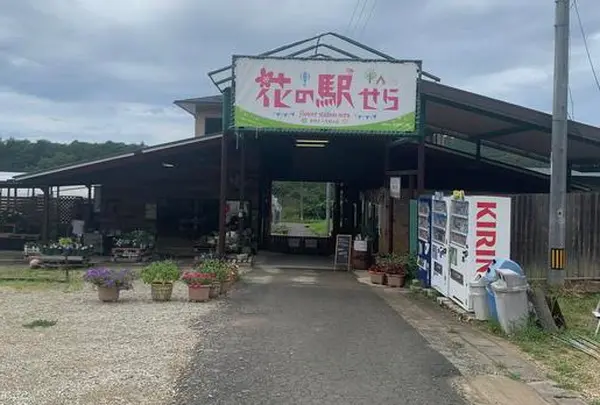 花の駅せら