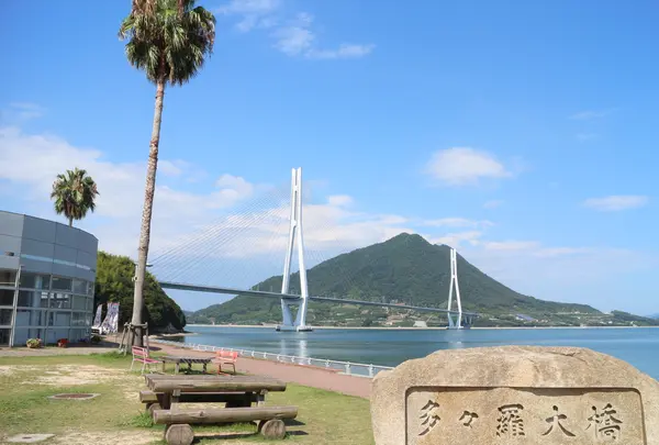 上浦レンタサイクルターミナル（道の駅「多々羅しまなみ公園」）の写真・動画_image_801317