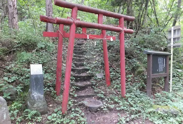 程洞稲荷神社の写真・動画_image_82479