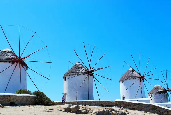 6つの風車（6 windmills）の写真・動画_image_826783