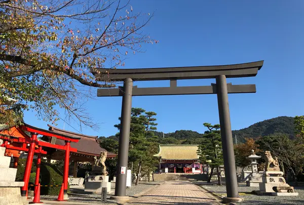 亀山神社の写真・動画_image_842235