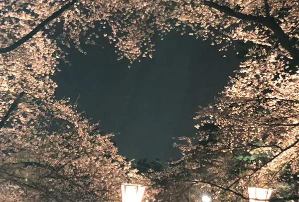 弘前城の写真・動画_image_848853