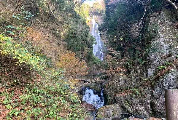 神庭の滝の写真・動画_image_853927