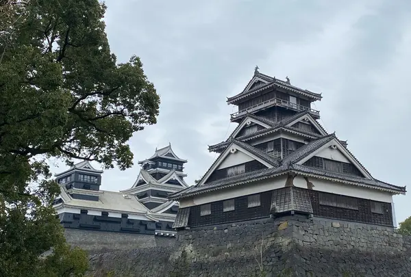 熊本城の写真・動画_image_860296