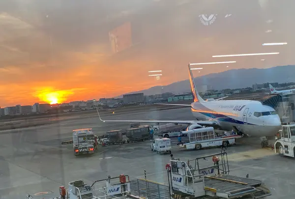 大阪国際空港（伊丹空港）の写真・動画_image_861075