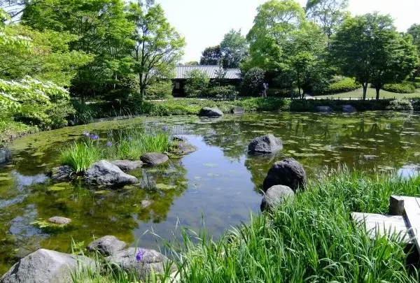 国営昭和記念公園日本庭園