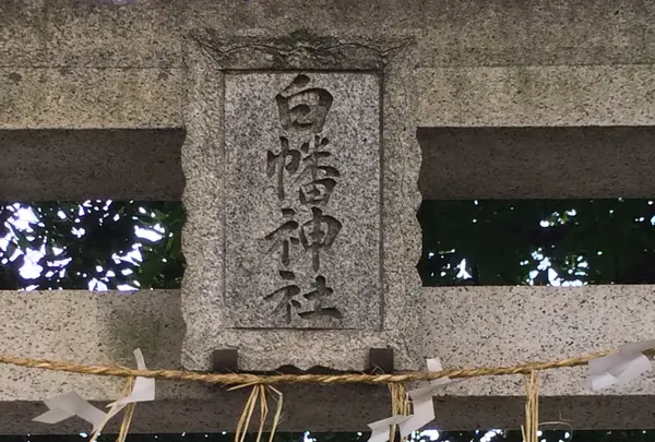 白幡神社の写真・動画_image_879913