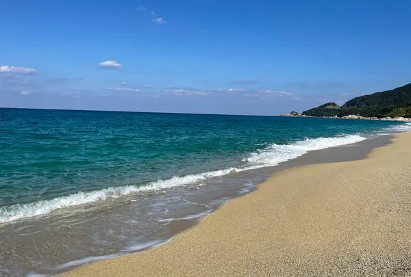 永田・いなか浜の写真・動画_image_890382