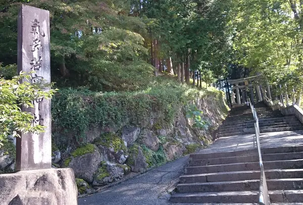 気多若宮神社の写真・動画_image_894162