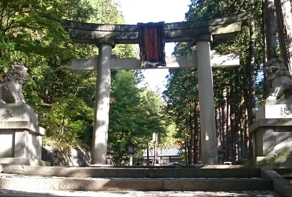 日枝神社の写真・動画_image_894168