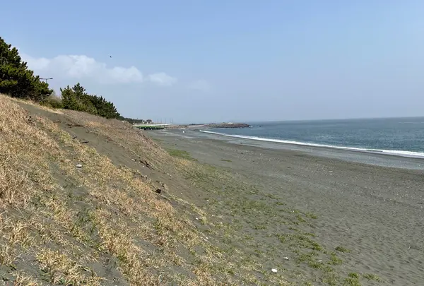照ヶ崎海岸の写真・動画_image_899912